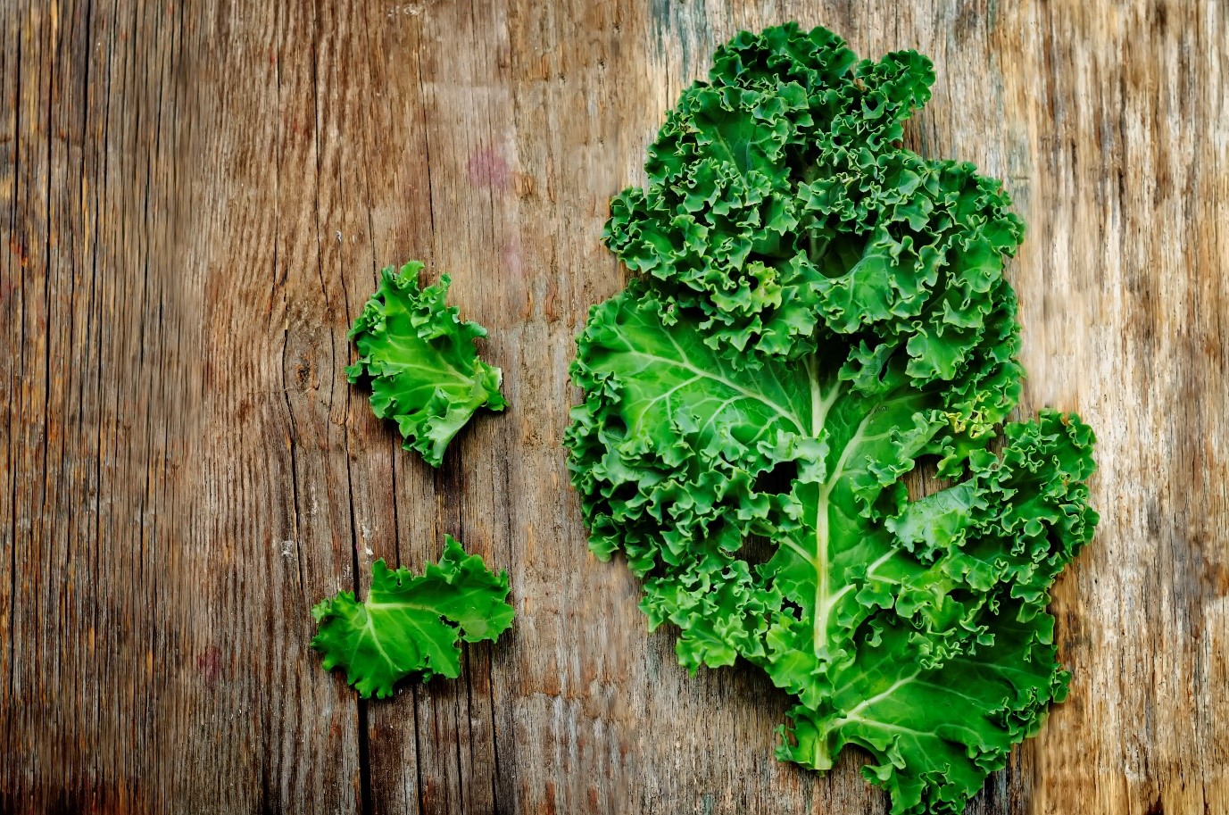 Is Kale Really as Healthy as Everyone Thinks? The Dark Side of Kale Exposed!
